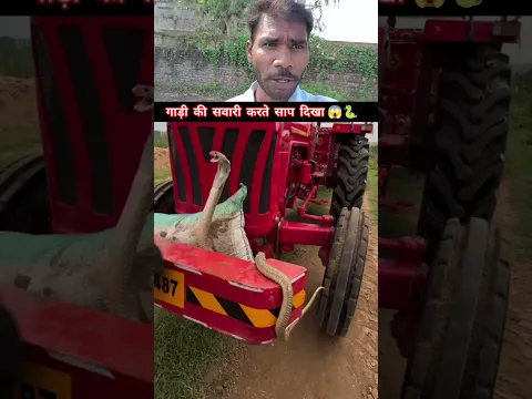गाड़ी की सवारी करते हुए सांप दिखा 😱🐍 #snakevideo @sanjaysnake #shorts