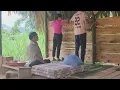 Download Lagu 阿南真心喜欢阿碧，两人一起建造木墙，最美的情话不只是说说而已 #户外 #野外建造 #自建房 ##乡村生活家 #情侣