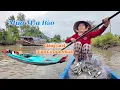 Download Lagu Vô Mùa Mưa Bão Giăng Lưới Cá Chốt Dính Quá Nhiều Và Giáo Sư Đúng Như Lời Hứa