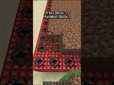 Grass Block vs Mycelium Block