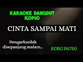 Download Lagu CINTA SAMPAI MATI - KARAOKE LIRIK VERSI KOPLO COVER KORG PA700