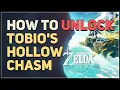 How to unlock Tobio s Hollow Chasm Legend of Zelda Tears of the Kingdom