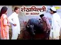 Lagu शेखचिल्ली का बटवारा | Shekhchilli Ka Batwara | शेखचिल्ली ठग लूटेरा बन गया | Shekhchilli Funny Video