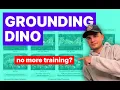 Detect Anything You Want with Grounding DINO Zero Shot Object Detection SOTA