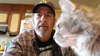 Five Below Haul Part 2 Kitty reviews the Cuddler Pet Bed