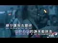 谭咏麟《水中花》DJ阿福 ProgHouse Rmx KTV 导唱字幕 （备有伴奏视频）