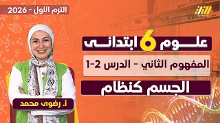 علوم الصف السادس الابتدائي الترم الاول الجسم كنظام للصف السادس الابتدائي 