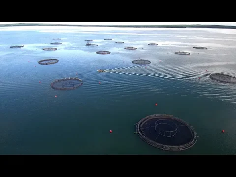 Vídeo do YouTube