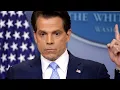 Anthony Scaramucci fired as White House communications director