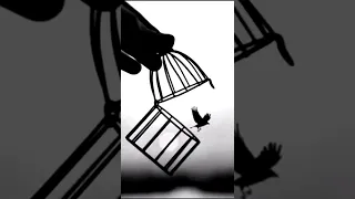 ألبوم صور ناقص حاجات اقنباسات اكسبلور تصميمي حالات واتس تعلم كيف تعيش محمد قاسم اغاني 