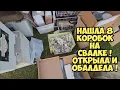 Download Lagu Ik ben geschokt! Ik vond 8 dozen in een vuilnisbelt! Ik opende ze en was verbaasd. Dit moet je zi...