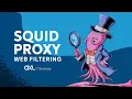 Squid as transparent Proxy Web Filtering NFTables TProxy EN
