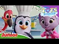 Lagu ⛅ Koalowe specjały | TOTS | Disney Junior Polska
