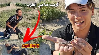 صيد العقارب السامة صاحبي يصارع الموت بسبب انتشار سم العقرب في جسمه 