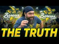 The Ugly Truth About Savannah Bananas Tickets Banana Ball World Tour
