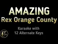 Download Lagu AMAZING Karaoke - Rex Orange County Instrumental Lower Higher Female Original Key
