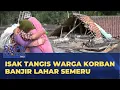 Banjir Lahar Semeru, Warga Dusun Sumber Langsep Menangis Tinggalkan Rumah | SAPA PAGI
