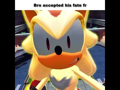 Shadow & Silver vs Seelkadoom #sonic #memes