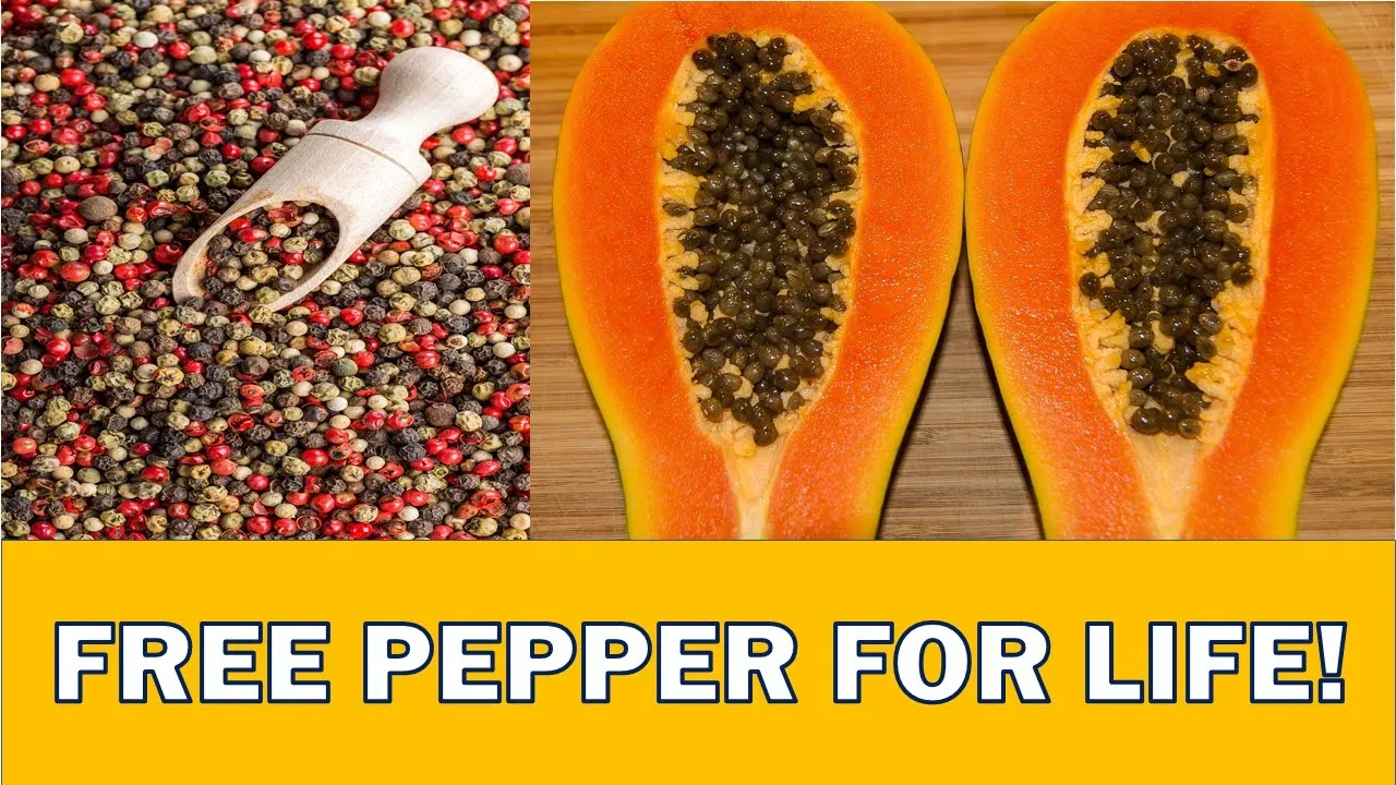 Papaya Seed Recipe   Zero Waste Food Hacks!  #shorts