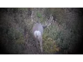 2015 Wyoming Monster Muley Hunt