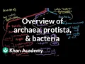Overview of Archaea Protista and Bacteria Cells MCAT Khan Academy