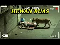 Lagu MEREKA GAK SADAR ADA CCTV!! Rekaman Paling Aneh yang Seharusnya Tidak Terekam.