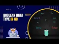 Boolean Data Type Explained in Go Golang