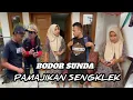 Download Lagu BODOR SUNDA PAMAJIKAN SENGKLEK