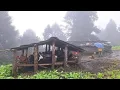 Download Lagu Nepali Himalayan Village Life in Heavy Rain Time | Most Peaceful \u0026 Relaxing Village Life | Real Life