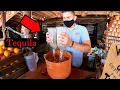 Download Lagu Mexico's Craziest Drink 🇲🇽