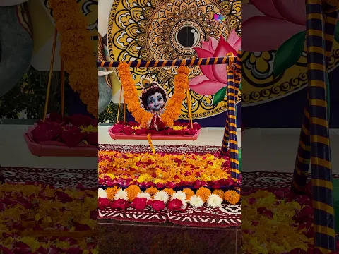 Krishna Janmashtami 2026 Celebration at Floreto World school 🥳 #Shorts #janmashtami2026