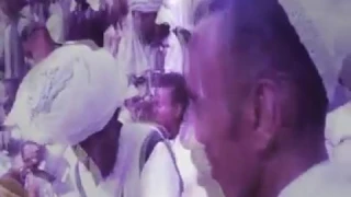 المبدع ابراهيم شريف 