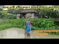 Download Lagu সুন্দরবনে আবারো আকাশ বন্যা দেখা দিল!Heavy rain day || Nandita Sundarban life 