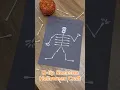 Q-tip Skeleton Craft for Kids