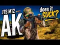 It s too CHEAP to be GOOD or is it The JTS Home Defense Shotgun M12AK