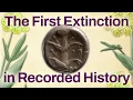 Lagu We’ve Been Looking For This Plant For 2000 Years