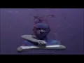 Holed Coin - Echo (Roderic Remix)
