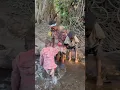 Download Lagu Wow!🥰🥰🥰 #hadzabetribe #africa #nature