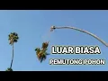 Download Lagu LUAR BIASA HEBATNYA PEMUTONG POHON