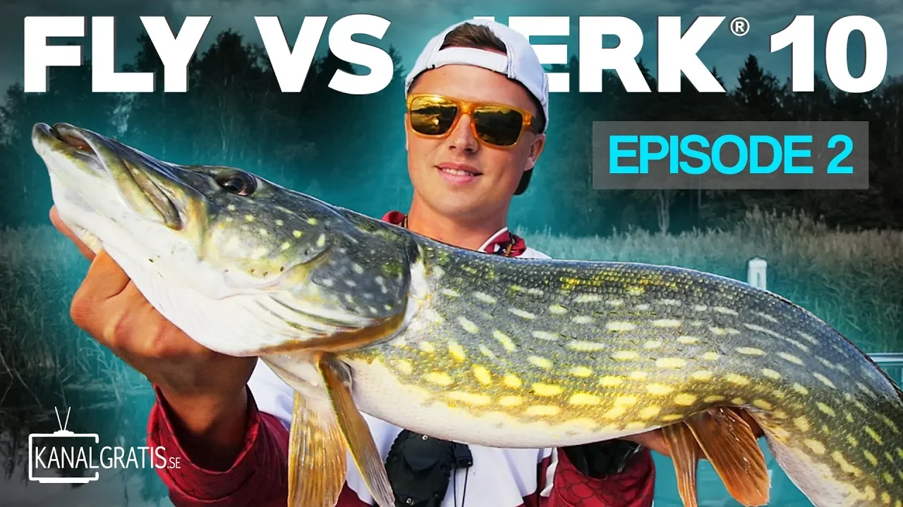 video Fly vs Jerk 10 - Reality pike fishing competition
