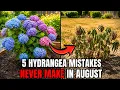 5 HYDRANGEA Mistakes to NEVER Make in August IT WON T BLOOM NEXT SUMMER