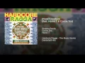 Pirate's Anthem (feat. Cocoa Tea & Home T) - Shabba Ranks