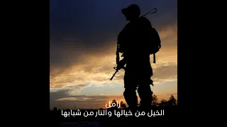 زامل الخيل من خيالها والنار من شبابها 