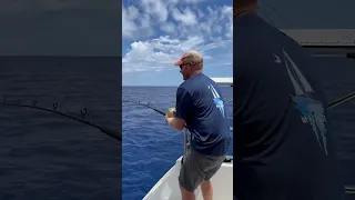 Check out Episode 28 and follow along! #sailingwithkids #sailing #sailingaroundtheworld #lagoon400s2