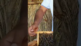 الملكه نور بنت الملكه رقم ١٠ المملكة العربية السعودية المدينة المنورة 