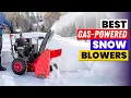 Top 6 Best Gas Powered Snow Blowers 2026 - Ultimate Winter Power Machines