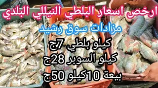 لأول مرة مزادات بلطي النيل المبطرخ البلدي ارخص مزاد ب ج الكيلو وكمان السوبر   ج دندنها