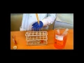 How to calculate and perform dilutions