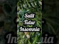 Lagu Sulit Tidur Alias Insomnia, Atasi dengan Konsumsi Sayur Kankung Tonton Video Lengkap di Chanel ini