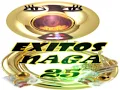 MACARIO LEYVA-LA ORIGINAL BANDA EL LIMON---EXITOS NAGA 25.flv